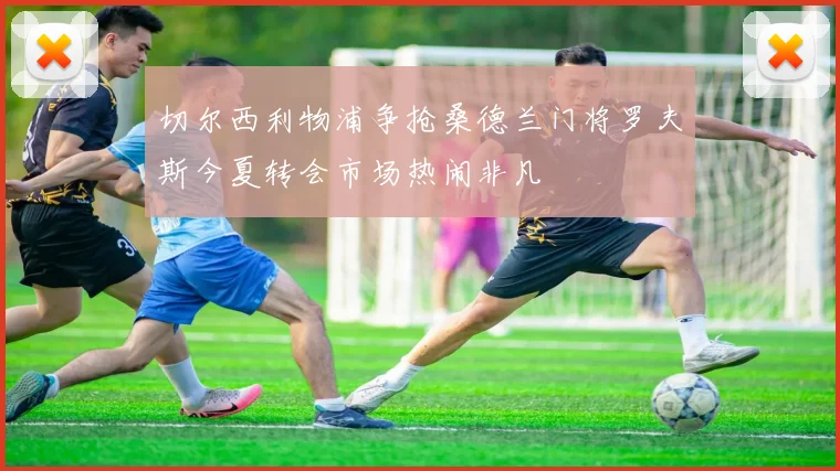 切尔西利物浦争抢桑德兰门将罗夫斯今夏转会市场热闹非凡
